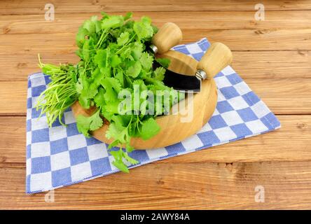 Haufen frischer Koriander auf einem Holz-Kräuterhackbrett Stockfoto