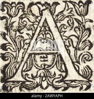 Notizie de' profesori del disegno da Cimabue in qua: Per le quali si dimostra come, e per chi le Bell' arti di pittura, scultura, e architettura lasciata la rozzeere delle maniere geca, e gottica, si siano in questi secoli ridotte all' antica lorcfo perfezione di Antonio. E fece in santa Giuftina, e in san Matteo alcune pitture, chepoi colle medefime Chiefe perirono nelToccafione ài farfi per ordine del GranducaCofimo I. in quella Città akuue nuove fortificazioni. Tornato a Firenze, dipinfeuna Cappella dedicata a san Michele Arcangelo fopra il vecchio Ponte a santa Tri-<unk> nità Stockfoto