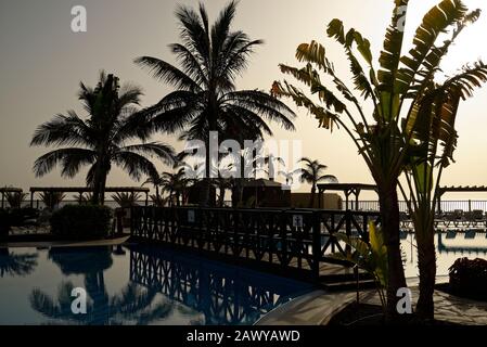Sonnenuntergang in einem Ferienhotel/Resort. Palmen und tropische Pflanzen sind silhouettiert. Stockfoto
