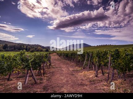 Französische Landschaft Stockfoto