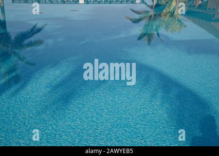 Reflexionen in blauen Schwimmbädern mit tropischen Palmen. Pool mit blauen Mosaikfliesen. Stockfoto