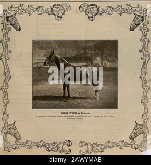 Züchter und Sportler . VOLUMEN LV. Nr. 18. SAN FRANCISCO, SAMSTAG, 30. OKTOBER 1909. Abonnement: 3,00 Usd Pro Jahr. Der ZÜCHTER UND SPORTLER [Samstag, 30. Oktober 1909. Jedes Pferd Sollte In Der Saison Beschnitten Werden. Es ist die Weise, die man für das beschnittene Pferd tun kann, nicht nur ist einfacher zu reinigen und sieht besser aus. Aber Clipping macht viel, um hiimmun gegen Husten, Erkältungen und die üblichen Übel zu machen, die nach jeder harten Anstrengung zu einem Pferd kommen, das in einem Mantel aus langen, nassen Haaren steht. Die Prespiration verdampft schnell vom beschnittenen Tier und lässt ihn trocken. An kalten Tagen hält ihn eine Decke, wenn er steht Stockfoto