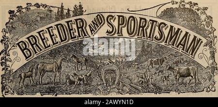 Züchter und Sportler . Sehen Sie sich die REIHE der SELBY SIEGE Spokane, 21. August, GENERAL HIGH AVERAGE.Tacoma, 29. August, AMATEUR HIGH AVERAGE.und 98 Prozent in Anaconda, 17. Bis 19. August. Fragen Sie den Shooter, Der WEISS! Schmelzen & BLEI CO., San Francisco, Cal. VOLUMEN LV. Nr. 18. SAN FRANCISCO, SAMSTAG, 30. OKTOBER 1909. Abonnement: 3,00 Usd Pro Jahr. Stockfoto