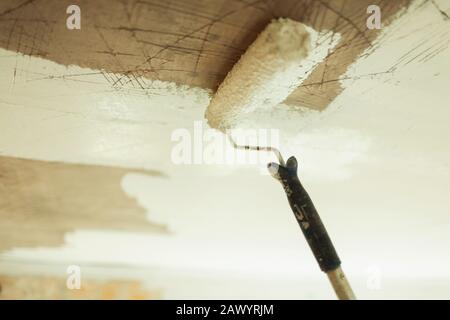 Lackierwalze lackiert Decke weiß Stockfoto