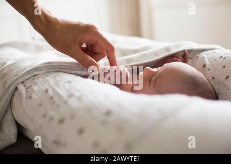 Mutter hält Hände mit neugeborenem Babysohn in der Fagotte Stockfoto