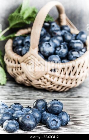 Riesige frisch gepflückte Blaubeeren - nah dran Stockfoto