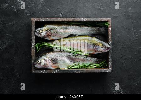 Rohe Fischforelle auf schwarzem Grund. Draufsicht. Freier Speicherplatz für Ihren Text. Stockfoto