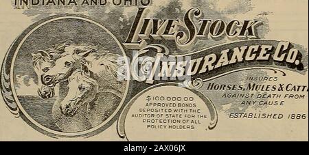 Züchter und Sportler . Versichern Sie Ihre Live Stock HAN A UND OHIO. Versichert M Horses,Mules&Cattle AGaJNST  TOD VON^---At^Y CAUSE GEGRÜNDET im Jahre 188.crtato Aocntc w- T- CLEVERDON, 350 Sansome St., San Francisco.OlfllC fl&CIU&. J, ED VAN CAMP, Germain Bldg., Los Angelas. Die größten und OLDESTOCK-UNTERNEHMENSWERTE werden mit 350,0 USD Bewertet. Verantwortungsbewusste Parteien, die keine Geschäftsbezugsbehörden sind, bewerben sich bei StateAgents, HEALDSBUSINESSCOLLEGE bildet für Business aus und stellt ihre Absolventen in Positionen. Rufen Sie uns an oder schreiben Sie 425 McAllister ST" San Francisco. Glide BROTHERS Nachfolger von J. H. Glide & Sons. Alleininhaber von Stockfoto