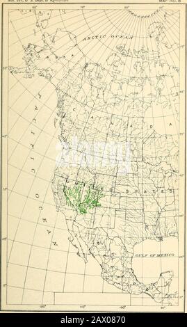 Die Zypress- und Wacholderbäume der Rocky Mountain Region. JUN1PERUS SABINOIDES: GEOGRAPHISCHE VERTEILUNG. [Die Verteilung, die in Mexiko durch Brutgebiete gezeigt wird, basiert auf berichteten Vorkommen, die gekerbt wurden; feste Punkte zeigen Orte, an denen Exemplare dieser Art gesammelt wurden.] Ji. 207, U S. Abt. der Landwirtschaftskarte Nr. 8. JUNIPERUS UTAHENSIS: GEOGRAPHISCHE VERTEILUNG. Bui. 207, U S. Abt. der Landwirtschaftskarte Nr. 9 Stockfoto