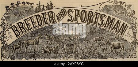 Züchter und Sportler . Tacoma, 29. August, HOHER DURCHSCHNITT DER AMATEURE und 98 Prozent in Anaconda, 17. Bis 19. August. Fragen Sie den Shooter, Der WEISS! Selby SCHMELZEN & LEAD CO., San Francisco, Cal. VOLUMEN LV. Nr. 17. SAN FRANCISCO, SAMSTAG, 23. OKTOBER, 1909. Abonnement: 3,00 Usd Pro Jahr. S Stockfoto