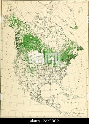 Die Zypress- und Wacholderbäume der Rocky Mountain Region. Cupressus Glabra: Geographische Verteilung. Bui. 207, U. S. Abt. der Landwirtschaft-Karte Nr. 3. Juniperus Communis: Geographische Verteilung. Bui. 207, U. S. Abt. der Landwirtschaft-Karte Nr. 4 Stockfoto