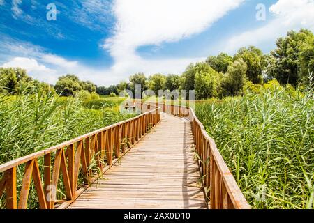 Naturpark Kopacki Rit, Blick auf die Holzsteg, Region Baranja, Kroatien Stockfoto