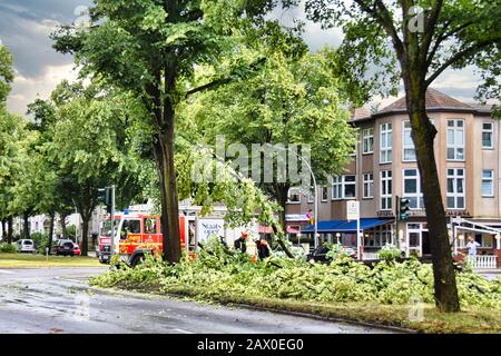 Berlin, Deutschland - 12. Juni 2019: Ein entwurzelter Baum, der nach einem schweren Sturm auf einer Hauptstraße in Berlin liegt. Die Polizei blockiert die Straße und Stockfoto