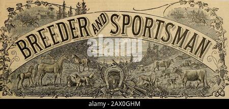 Züchter und Sportler . Bd. XXXI. Nr. 19; Nr. 313 BOSH STRASSE. SAN FRANCISCO, SAMSTAG, 6. NOVEMBER 1897. SEAROHLIO-HT, KÖNIG DER JUNGEN PAGER. Die Großen Drei Jahre Schickte eine ExhibitionMile in 2:05 3-4 in Santa Ana. Thubsday/October 28.. Das aufregendste Ereignis von to-dave Rennen war der 2:40 Trotand der große Antrieb, den Felton hinter Judd machte, um FIR6tplace io die vierte Hitze zu gewinnen. Judd brach am Start und fiel nach hinten. Zur Hälfte lag er drei Längen hinter Nntwav.Down die Strecke gewann Judd Rapidlv unter Feltons Whipand gewann die Hitze in 2:24&. Die Pferde in diesem Rennen waren alllokal und die Stockfoto