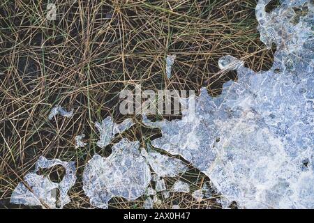 Auf dem Gras in den Dünen schmilzt Eis Stockfoto