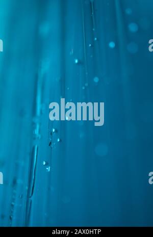 Heftklammern nagten an die Holzwand der Durchsagen Stockfoto