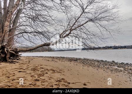 Delaware River Bank Landscape, Pennsylvania, USA Stockfoto