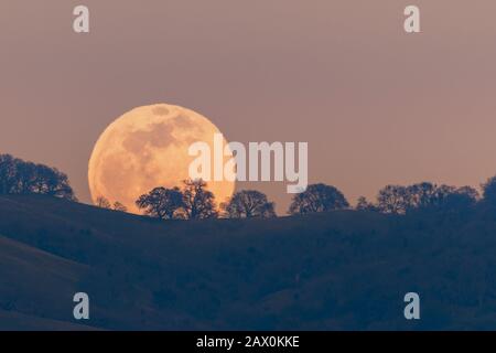 Vollmond, der von einem Hügel in der Diablo Mountain Range in der South San Francisco Bay Area, San Jose, Kalifornien, steigt; sichtbare Verzerrung aufgrund von Hea Stockfoto