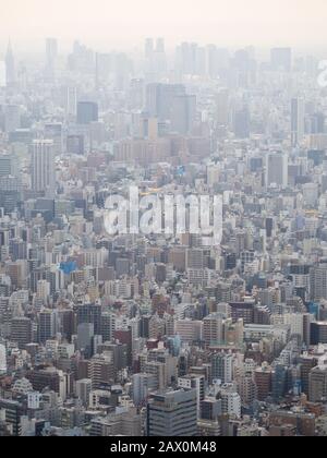 Tokio, Japan - 10. Oktober 2018: Erhöhter Blick auf die Tokioter Metropole und die Skyline der Stadt. Stockfoto