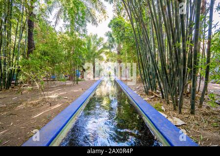 Marrakesch, Marokko - 15. Januar 2020: Schöner Garten der Majorelle, der von Yves Saint Laurent eingerichtet wurde Stockfoto