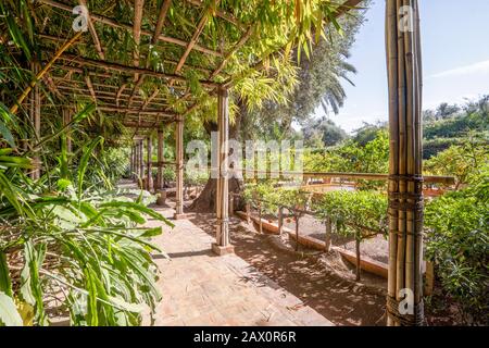 Schöner Weg im Majorellengarten in Marrakesch, Marokko Stockfoto