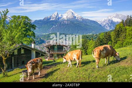 Schöne Panoramasicht auf idyllischen Berglandschaft mit traditionellen Berghütten und grasende Kühe auf grünen Wiesen an einem sonnigen Tag Stockfoto