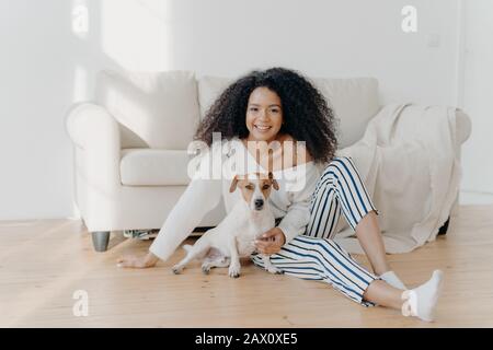 Entspannte junge Amerikanerin sitzt auf dem Boden in leerem Raum in der Nähe eines Sofas mit Stammhund, genießt süßen Moment zu Hause, ziehen Sie in einer neuen Wohnung nach li Stockfoto