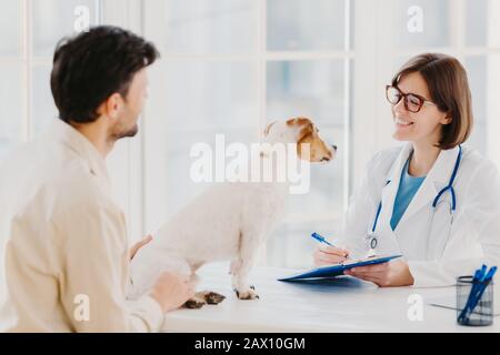 Vet überprüft Haustier im Krankenhaus, modernes Büro, kommuniziert mit männlichen Gastgeber, schreibt Formular in Zwischenablage, mag Tiere, kümmert sich um Gesundheit. Hundebesitzer in Stockfoto