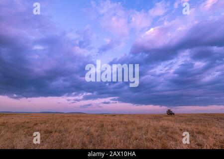 Touristenfahrzeug beobachten Spiel in Masai Mara während Sonnenuntergang, Kenia, Afrika Stockfoto