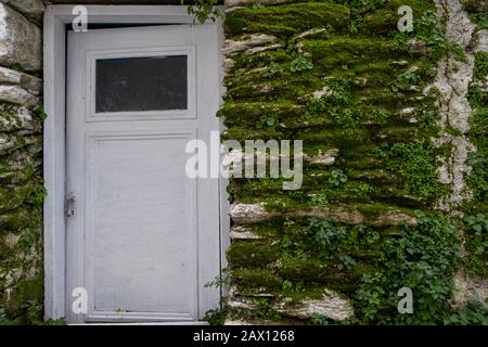 Die weiße Holzhälfte öffnete die Tür eines alten Steingebäudes. Grünmoos und Pflanzen decken den ländlichen Steinbau ab. Immergrüne Wildpflanzen brauchen feuchtes en Stockfoto