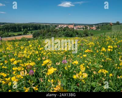 Blumenwiese, Schloss Ellingen im Hintergrund, Weißenburg, Franken, Bayern, Deutschland Wildblumenwiese, Schloss Ellingen im Hintergrund, Weißenburg Stockfoto