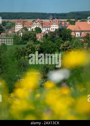 Schloss Ellingen, Weißenburg, Franken, Bayern, Deutschland Wildblumenwiese, Schloss Ellingen, Weißenburg, Franken, Bayern, Deutschland Stockfoto