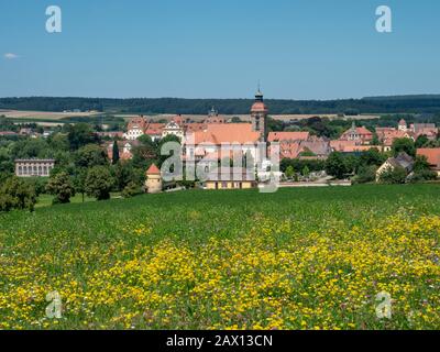 Schloss Ellingen, Weißenburg, Franken, Bayern, Deutschland Wildblumenwiese, Schloss Ellingen, Weißenburg, Franken, Bayern, Deutschland Stockfoto