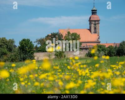 Ellingen, Kirche St. Georg, Weißenburg, Franken, Bayern, Deutschland Wildblumenwiese, Ellingen, St.-Georgs-Kirche, Weißenburg, Franken, Bayern, Stockfoto