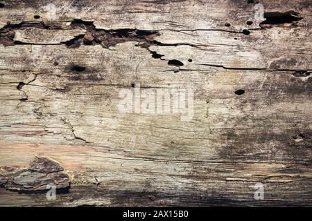 Sehr altes, altes Naturholz mit Lochhintergrund Stockfoto