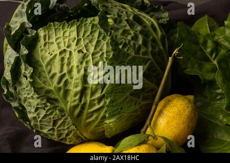 Roher und frischer Kohl und Zitronen, frisch aus dem Garten ausgewählt, grün und gelb und reich an Vitaminen; vom Garten bis zur Küche, um Gesundheit zu schaffen Stockfoto