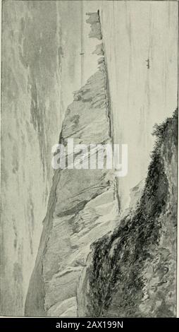 Der neue Wald und die Insel WightWith acht Platten und viele andere Abbildungen. rds zum Meer, zuerst einzeln, Dann in Herden und sammeln Sie in kleinen Gruppen auf dem Wasser, obwohl dieser mav bald mit den Vögeln bedeckt ist, ohne dass es zu einer offensichtlichen Schmälerung in den oberen Rängen oben auf der Klippe kommt, wo sie, vor jeder Gefahr sicher und fast aus dem hören von Trieben heraus, sitzen und blicken auf die Eindringlinge darunter. Auf dem Wasser sind die Rasiermesser und die Puffins so zahm, dass sie das Boot innerhalb eines Dutzend Meter von ihnen laufen lassen. Dann verschwinden die ganzen Flocks ohne Ton und fast ohne Bewegung der Oberfläche von Thewa Stockfoto