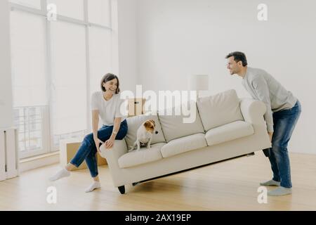 Glücklicher Ehemann und Frau legen Sofa in Wohnzimmer, statten ihr erstes Zuhause aus, helfen sich bei der Renovierung, kleiner Hund sitzt auf der Couch, tragen Möbel t Stockfoto