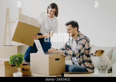 Bild von fröhlichen jungen Mann Tastaturen etwas auf dem Laptop, hat einen guten Ausdruck, sitzt auf einem bequemen Sofa mit Haustier, umgeben von Pappkarton Stockfoto