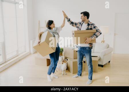 Junge Paare fünf hohe fünf zueinander, tragen große Pappkartons während des Umzugstages, vereinbaren, als Team zu arbeiten, posieren in neuer Wohnung mit Hund und Hund Stockfoto