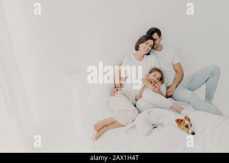 Zufriedener Ehemann, Frau und ihre kleine Tochter posieren in einem geräumigen Schlafzimmer mit Lieblingstier, haben Spaß, umarmen und lieben einander ausdrücken, vorm Stockfoto