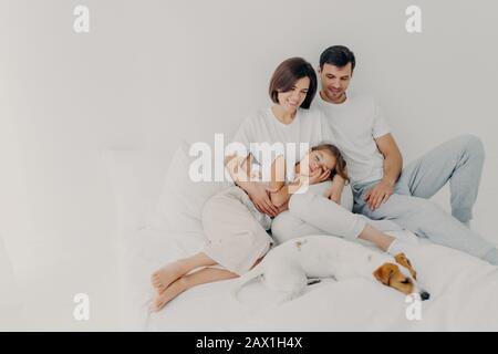 Foto der schönen Familie verbringen Sie Zeit zusammen, bleiben Sie lange im Bett, haben gesunden Schlaf, Ahnenhunde liegen in der Nähe von Besitzern, genießen Sie Komfort und relaxa Stockfoto