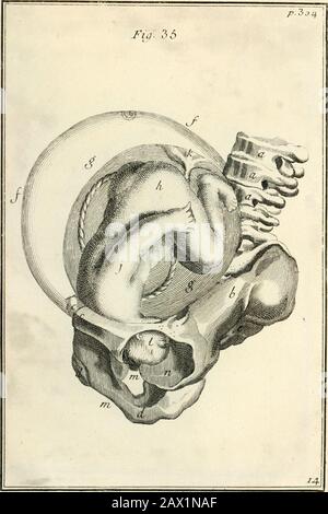 Beobachtungen importantes sur le manuel des accouchemens .. . Stockfoto