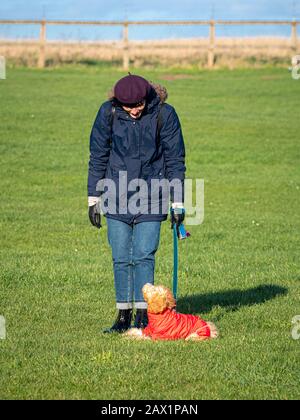 Frau in warmer Kleidung mit Kakadu-Welpe beim Bleitraining, auch mit Mantel. Stockfoto