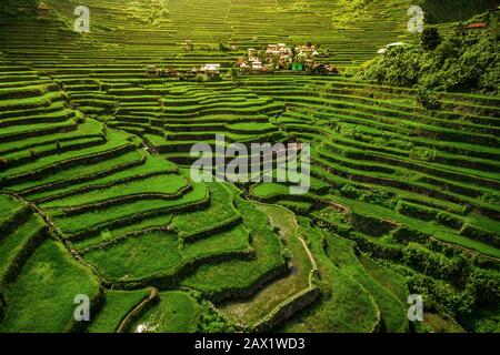 Welterbe Ifugao Rice Terraces in Batad, Nord-Luzon, Philippinen. Stockfoto