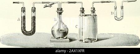 Traité d'Analyse chimique appliquée à la physiologie et à la pathologe; Guide pratique pour les Recherche cliniques. Ncelui de lammoniaque du liquide séreux. Cette méthode est sujette à une cause derreur qui tient à la dé-composition de lhémoglobuline. En effet, ce corps pouvant don-ner naissance, dans les conditions expérimentales, à divers acidesvolatils, il est préférable dajouter au sang, avant de le soumettreà la destillation, une petite quanté de chaux caustique; il fautévitre den employer un excès, de crainte dobtenir dautres pro-dutres. 2 Grad. Méthode de mm Thiry (*) Stockfoto