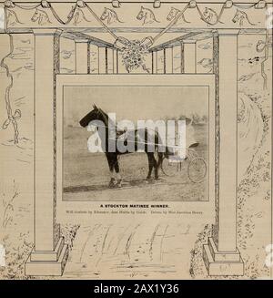 Züchter und Sportler . VOLUMEN LV. Nr. 14. SAN FRANCISCO. SAMSTAG. OKTOBER 1909. Abonnement - 3,00 USD Pro Träne. SI It, " /,1 W-n-UUf-. TA, DER ZÜCHTER UND SPORTLER [Samstag, 2. Oktober, 1909. Stockfoto