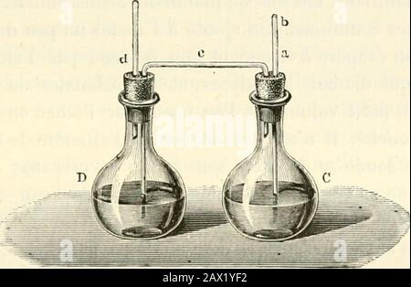 Traité d'Analyse chimique appliquée à la physiologie et à la Pathologe; Guide pratique pour les Recherche cliniques. E dans une Capsel de porcelaine, on chauffe àlébullition et lon y laisse tomber à Laide dune buret la Solution de Glucose à •&gt;S. lOqui sert dans le titrage de la Likör cuivrique. Le Cyanure de mercure seréduit en mercure métallique et lon peut apprécier la lin de la Réaction au moyendu sulfure ammonique. Mais cette méthode ne donne pas daussi bons Résultats quela précédente. MIPS:i;i do la;Iiinisr   i.-ir la f&lt;-riii&lt;-iitatioii. *21 (". Le dédoublement de la glu Stockfoto