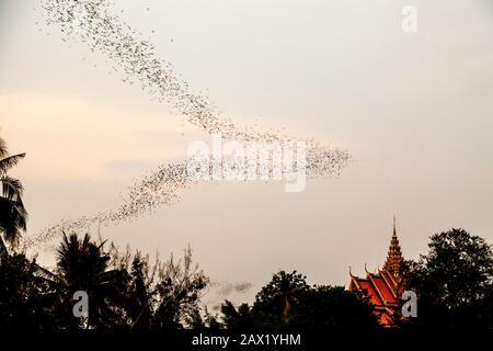 Wat Sampeau Bat Cave, Battambang, Kambodscha. Stockfoto