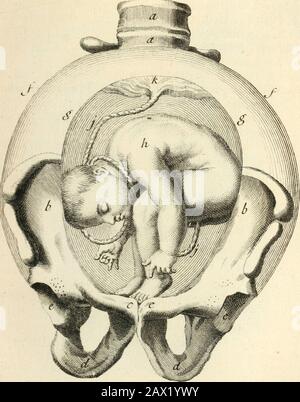 Beobachtungen importantes sur le manuel des accouchemens .. . ^^.24 /•a^- L. Stockfoto